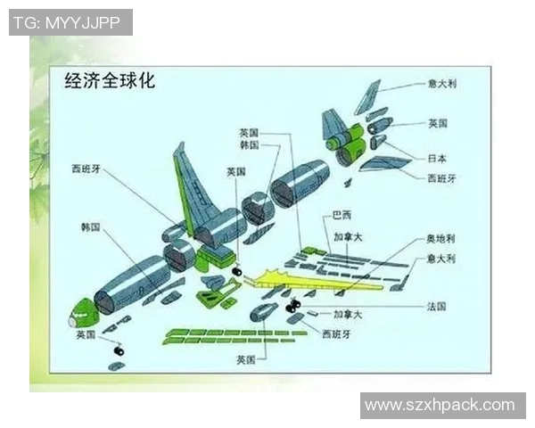 全球视野下的国际合作与挑战：新时代中各国如何携手应对全球性问题