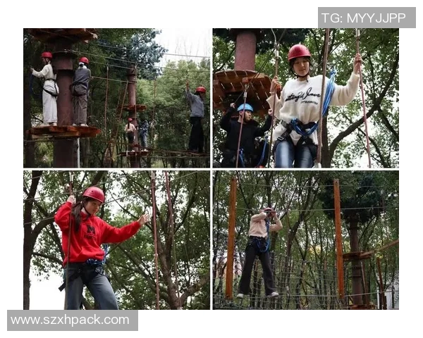 运动心理学视角下的运动员情绪调节与表现提升策略研究 运动心理学视角下的运动员情绪调节与表现提升策略研究