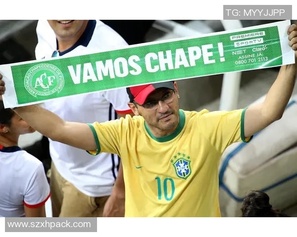 沙佩科恩死与克里希的悲剧交汇点探讨与反思